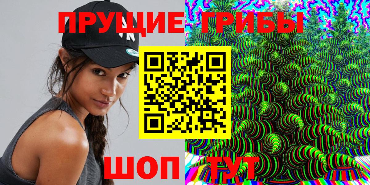 Псилоцибиновые грибы Psilocybine cubensis Тара