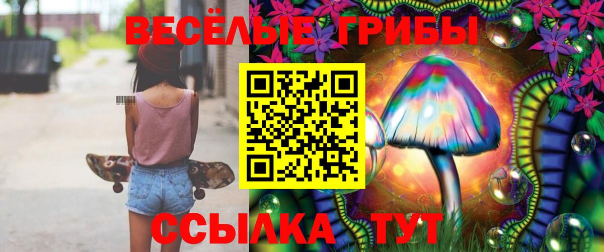 Псилоцибиновые грибы Psilocybe  Вход с VPN  Тара  Галлюциногенные грибы Cubensis 
